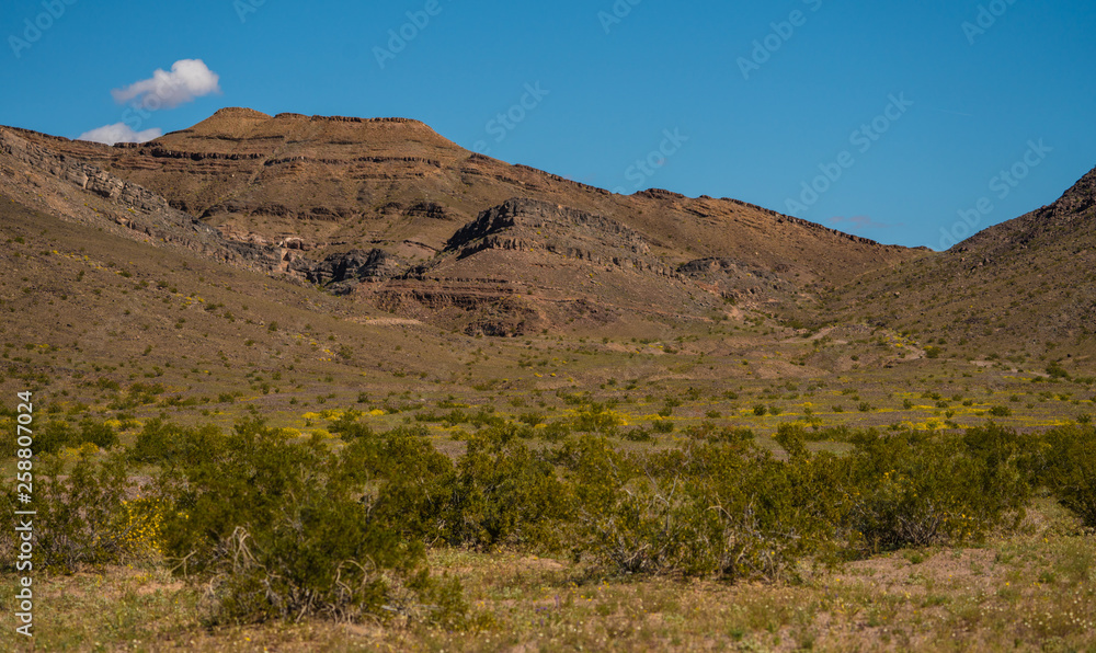 The marble Mountains in the Mojave preserve in March of 2019