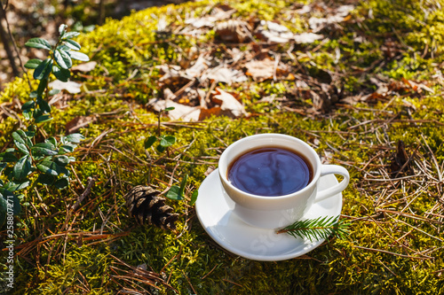 White cup with tea on a saucer in the sunny forest © WoodHunt
