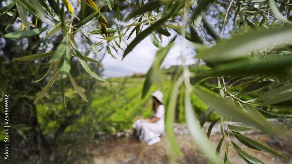 View through foliage lady resting under olive tree and vineyard growing in valley of Douro river in winemaking region in Portugal View through foliage lady resting under olive tree and vineyard growing in valley of Douro river in winemaking region in Portugal