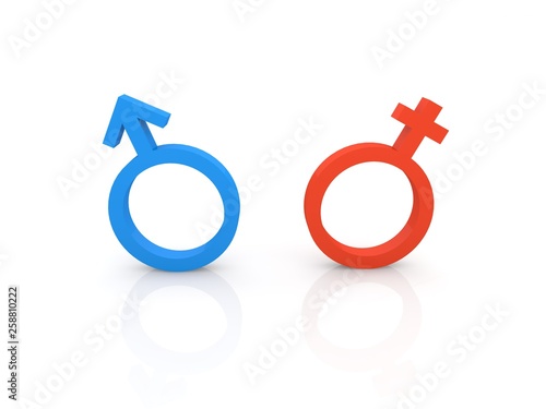 Female and male symbols on a white background. 3d render illustration.