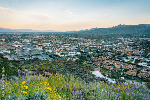 Obraz na płótnie View of Palm Springs at sunset, from the Skyline Trail in Palm Springs, California w salonie
