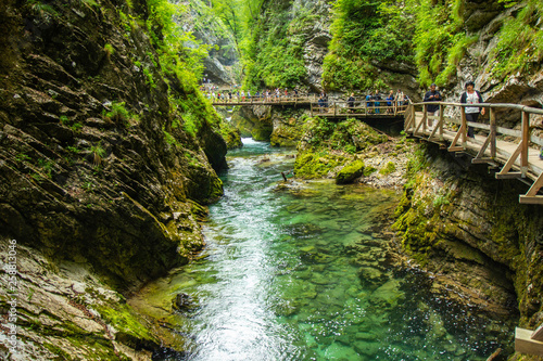 Fototapeta The Vintgar Gorge or Bled Gorge is a walk along gorge in northwestern Slovenia