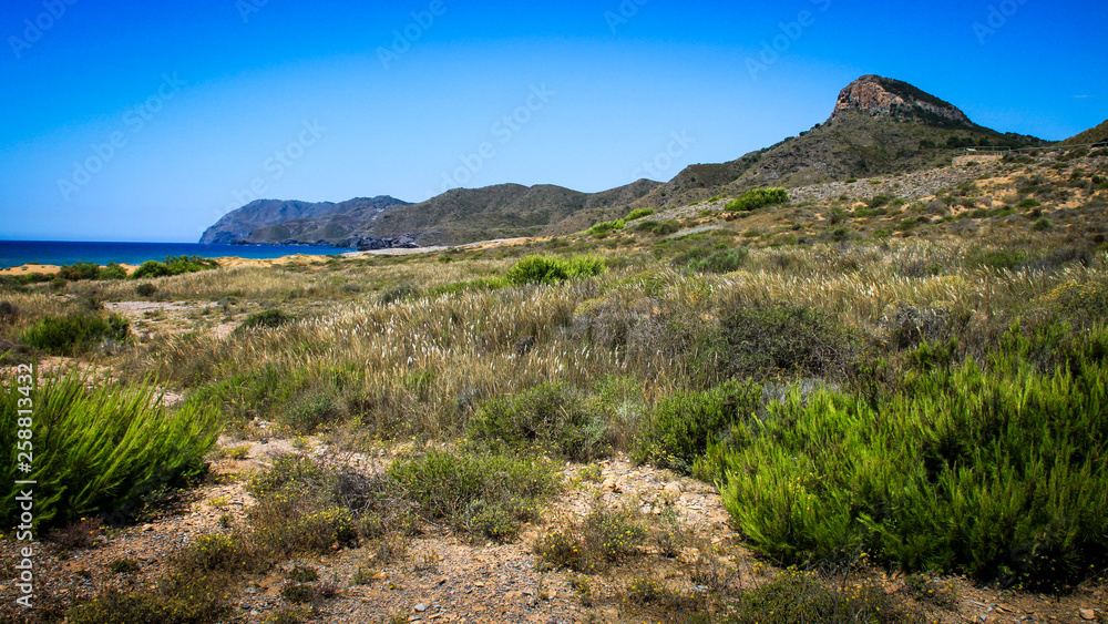 Playa Larga del Parque Natural de Calblanque (Murcia)