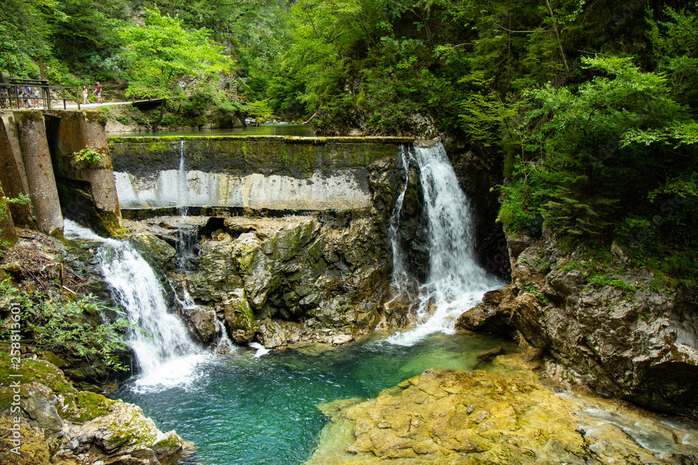 Obraz premium The Vintgar Gorge or Bled Gorge is a walk along gorge in northwestern Slovenia.
