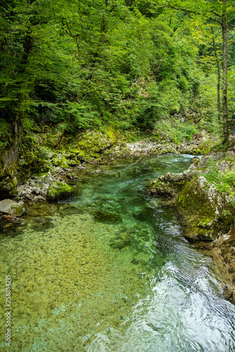 The Vintgar Gorge or Bled Gorge is a walk along gorge in northwestern Slovenia.