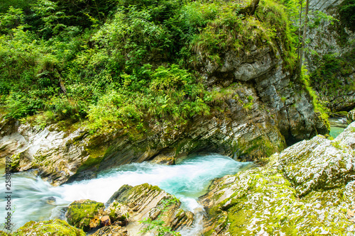 The Vintgar Gorge or Bled Gorge is a walk along gorge in northwestern Slovenia.