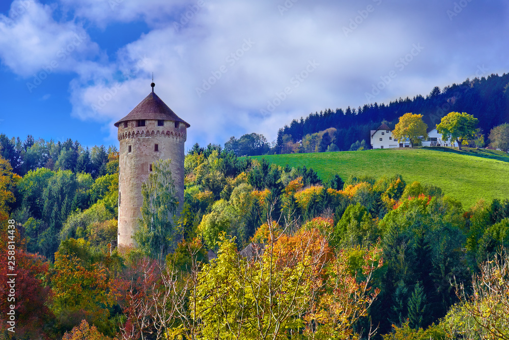 Old medieval castle tower on a hill in the forest in Europe on a bright sunny day Old medieval castle tower on a hill in the forest in Europe on a bright sunny day