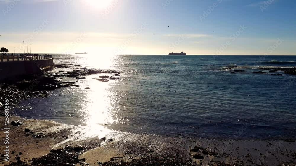 Commercial liner tanker ship sailing along the horizon seen from sparkling ocean reflections on sandy beach as birds fly through scene. Commercial liner tanker ship sailing along the horizon seen from sparkling ocean reflections on sandy beach as birds fly through scene.