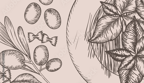 olive plant drawn italian food
