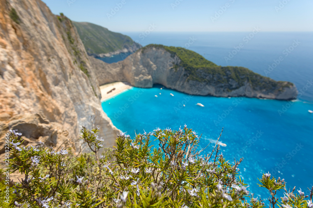 Fototapeta premium Flowers and a beach with shipwreck