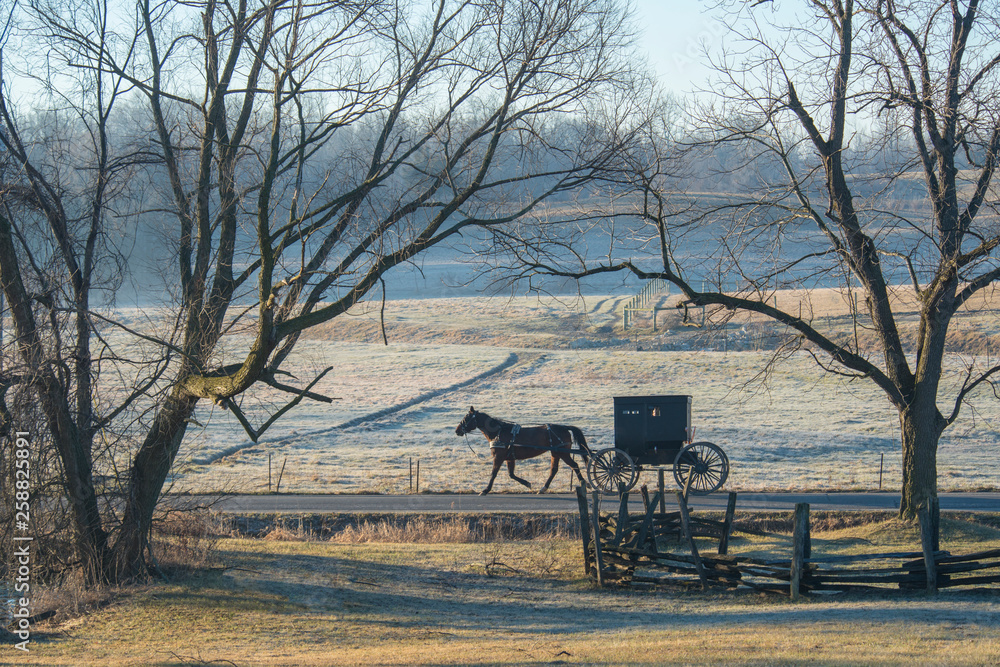 Amish Buggy on Frosty Morning with Split Rail Fence