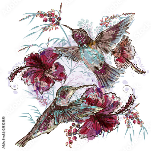 Fashion vector floral illustration with hummingbirds and hibiscus flowers