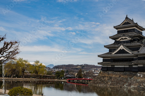 雄大なアルプスと青い空と天守