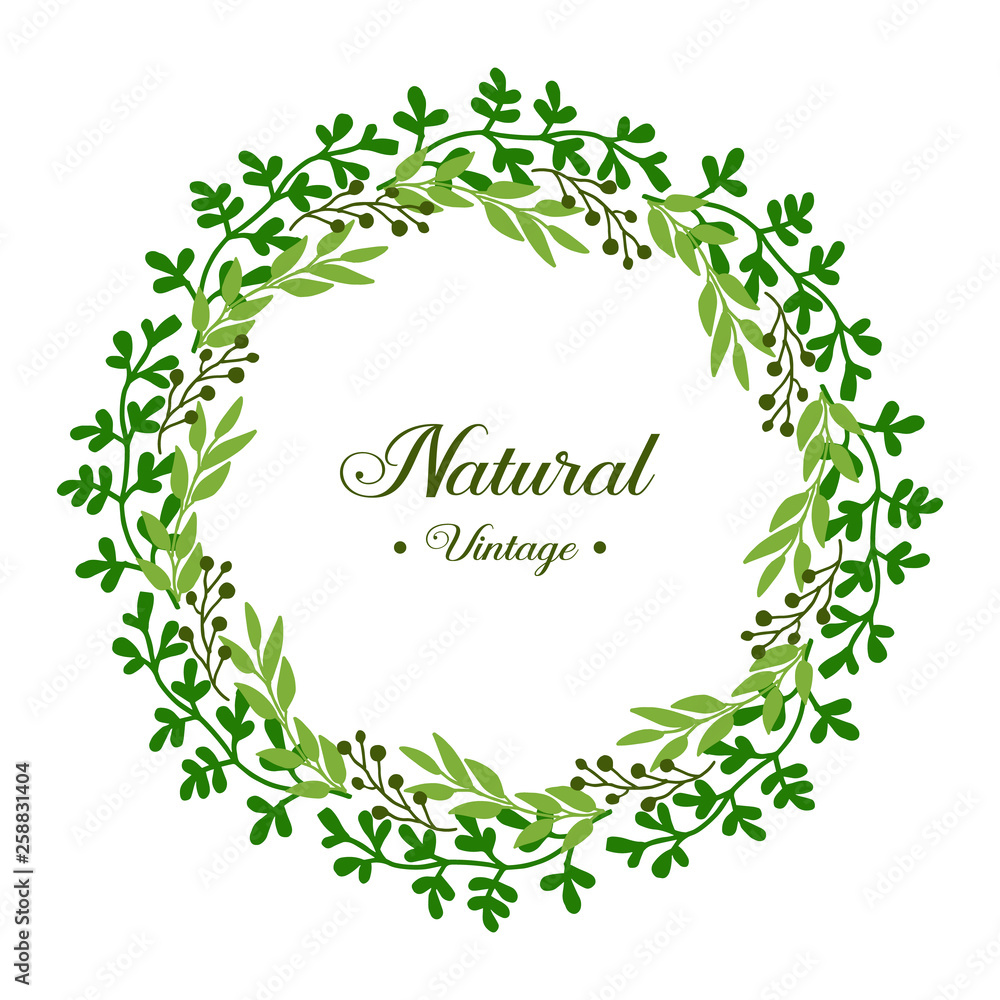 Vector illustration beautiful green leafy flower frame for design natural vintage