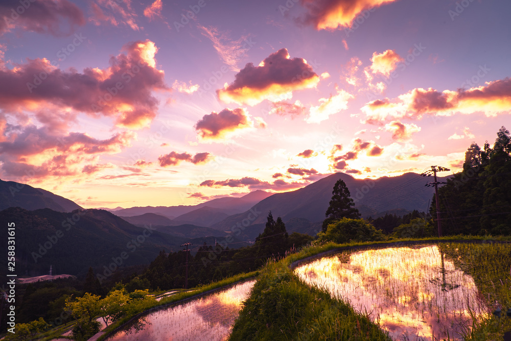 Maruyama Rice Terraces, Mie, Japan