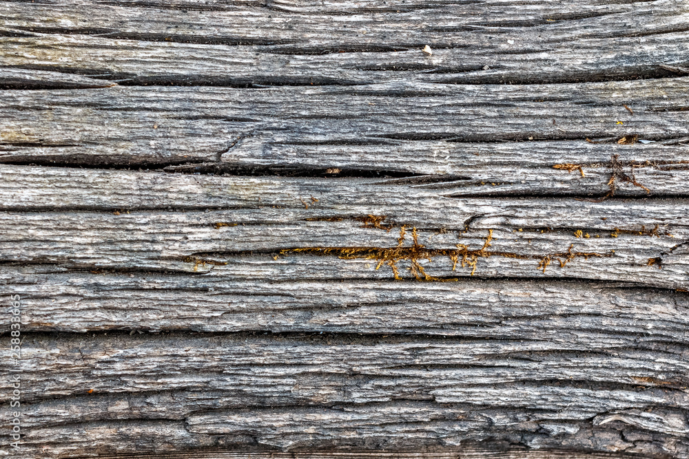 Old faded wood texture backdrop for mockup or design pattern in construction, food or industrial flat layer of sample concept Old faded wood texture backdrop for mockup or design pattern in construction, food or industrial flat layer of sample concept