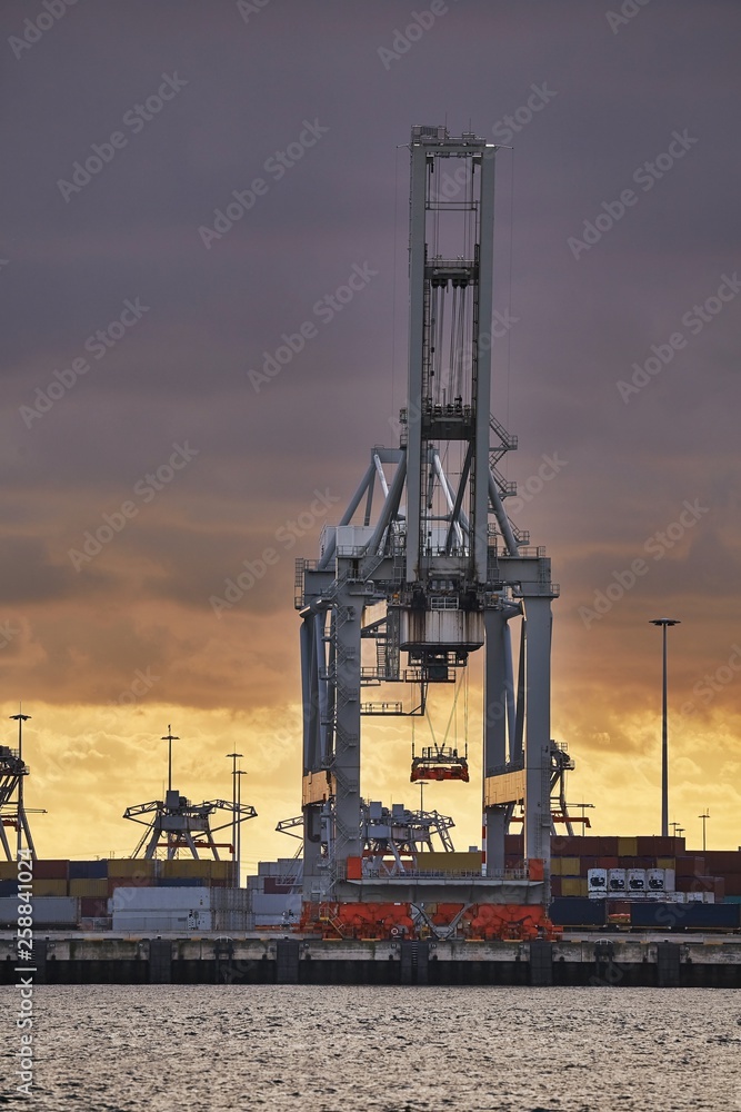 Container Dock in Rotterdam