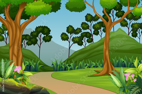 Beautiful forest landscape with mountain background