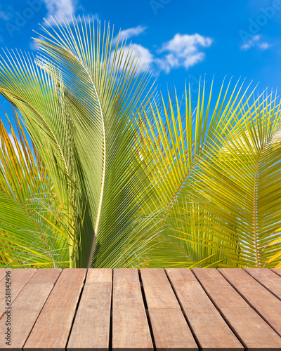 Terrasse bois et fond palmiers 