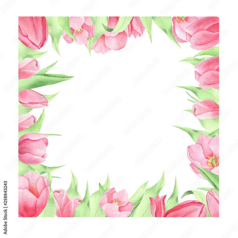 Watercolor spring flowers Watercolor spring flowers