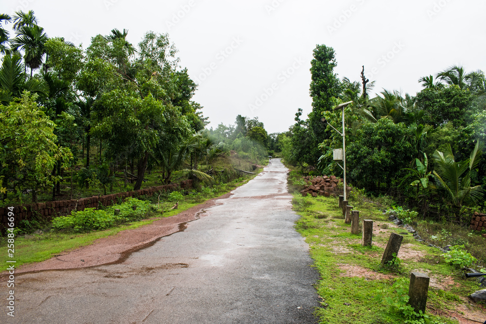 green landscapes village side