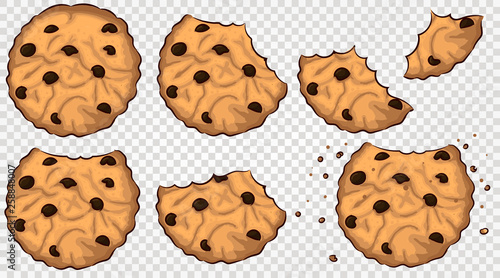 bitten cookies with chocolate chip