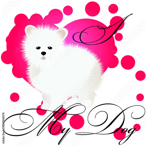 I love my spitz
