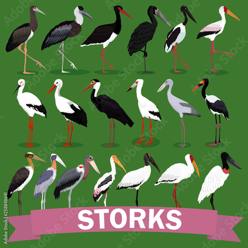 storks family set cartoon bird