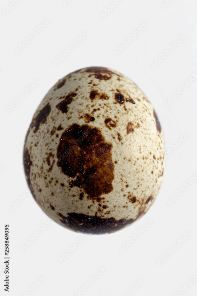 One quail eggs white background Healthy organic food Raw food One quail eggs white background Healthy organic food Raw food