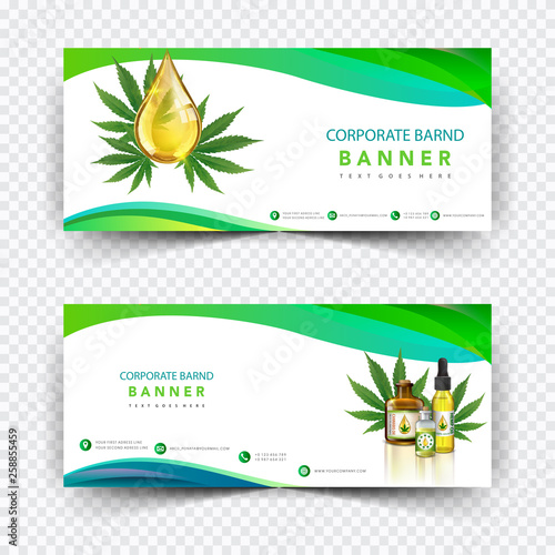 Marijuana plant and cannabis oil drop vector.