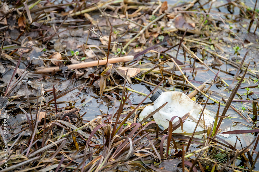 Plastic pollution in pond - Environmental problem Plastic pollution in pond - Environmental problem
