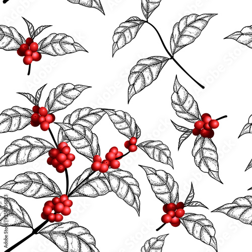 seamless pattern sketch coffee tree branch