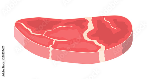 Beef tenderloin. Pork knuckle. Slice of steak, fresh meat. Uncooked pork chop. Vector illustration in flat style