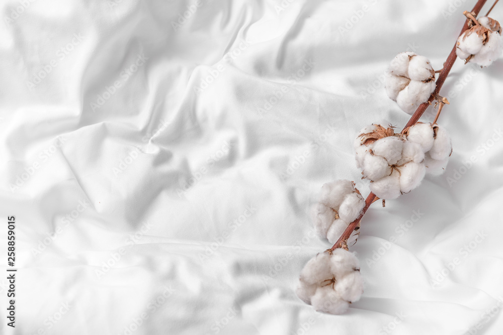 Branch with cotton flowers on bed - obrazy, fototapety, plakaty 