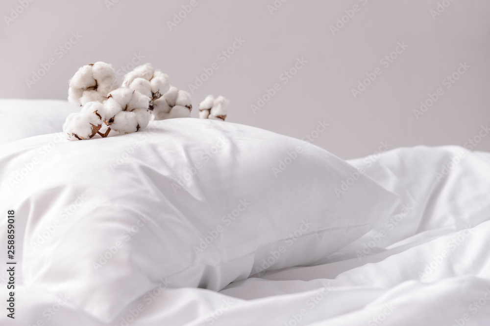 Branch with cotton flowers on pillow - obrazy, fototapety, plakaty 