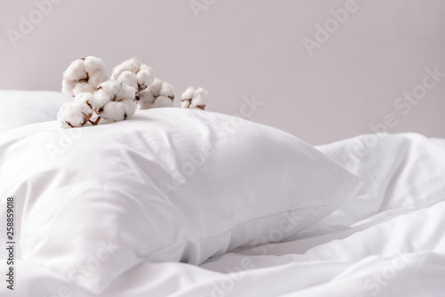 Branch with cotton flowers on pillow photo