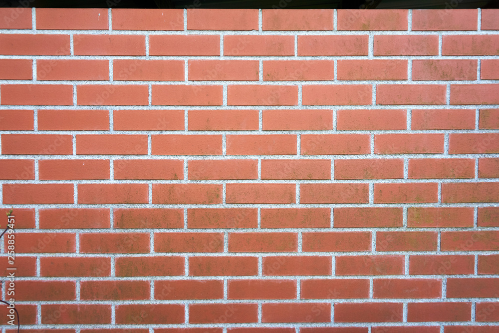 Fototapeta premium old repaired wall with brick texture