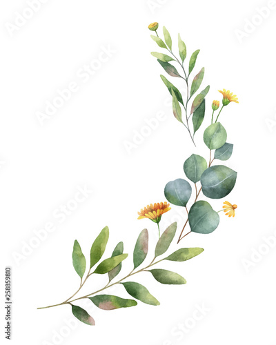 Watercolor vector wreath with green eucalyptus leaves and flowers .