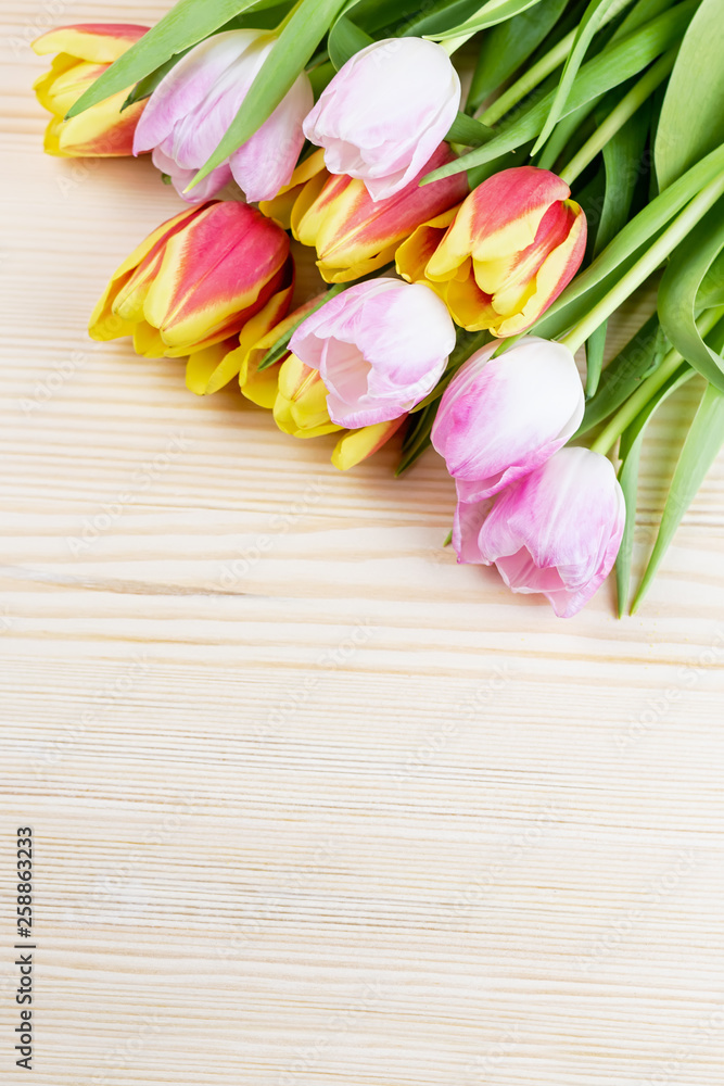 Red and pink tulips on wooden background closeup, copy space Red and pink tulips on wooden background closeup, copy space
