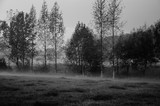 Foggy meadow on a cold autumn evening