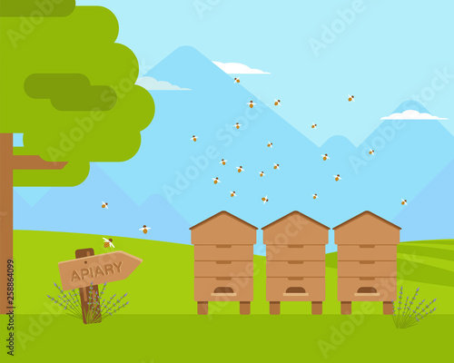 Apiary, apiculture flat color vector illustration