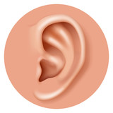 Closeup ear organ hearing human health care realistic 3d icon design vector illustration