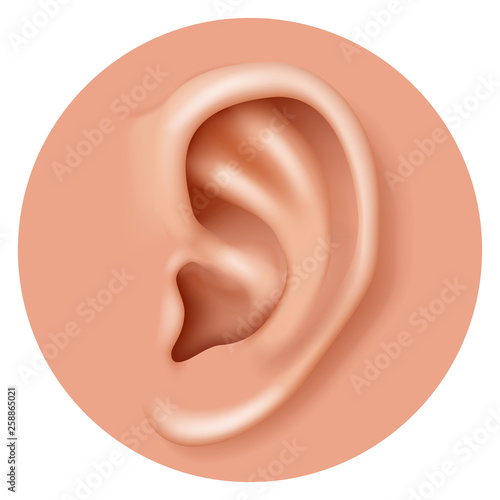 Closeup ear organ hearing human health care realistic 3d icon design vector illustration