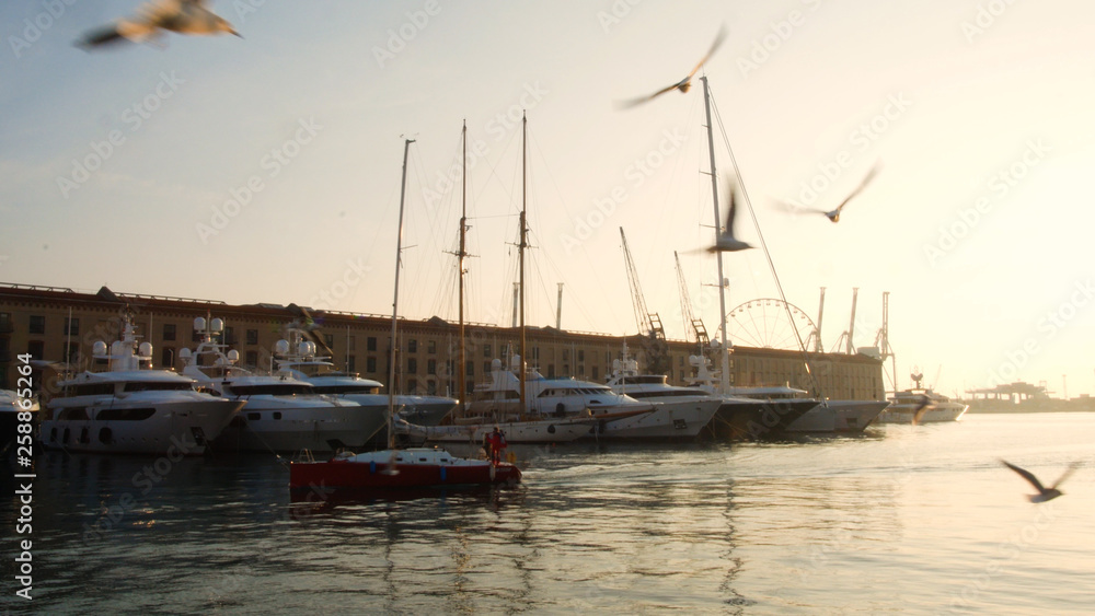 sailboat at sunset in the ancient port of Genoa, seagulls flying in the sky