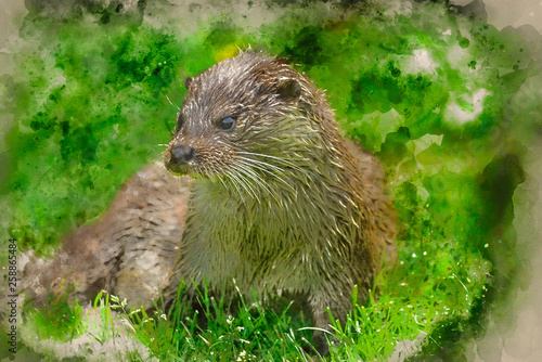 Watercolour painting of Otters on riverbank in lush green grass of Summer in sunlight © veneratio