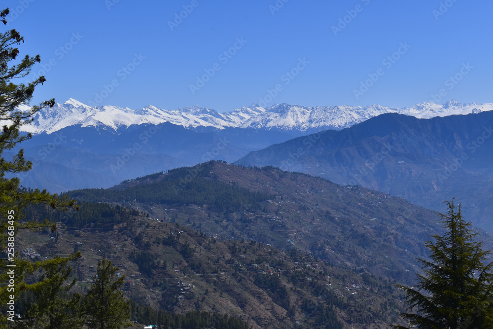 Fototapeta premium snow peaks of HImalaya range , view from shimla 
