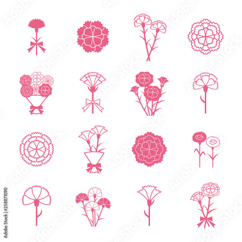 Carnation icon set