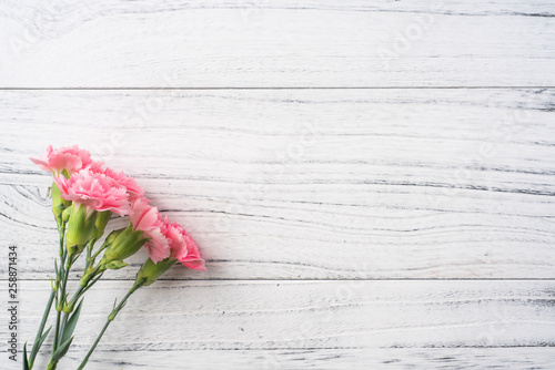 top view of carnation on white wooden background