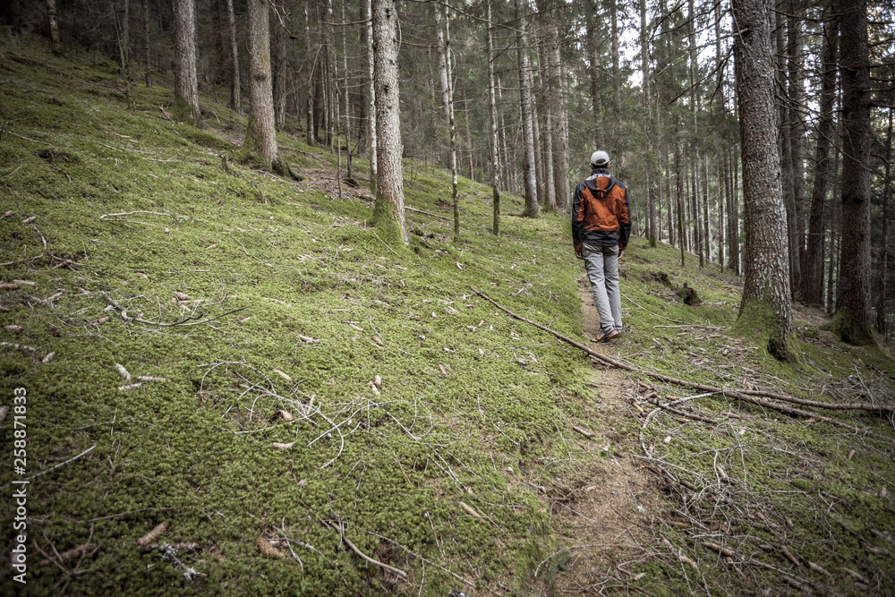 A trekker walking solo  among the forest in a cloudy day