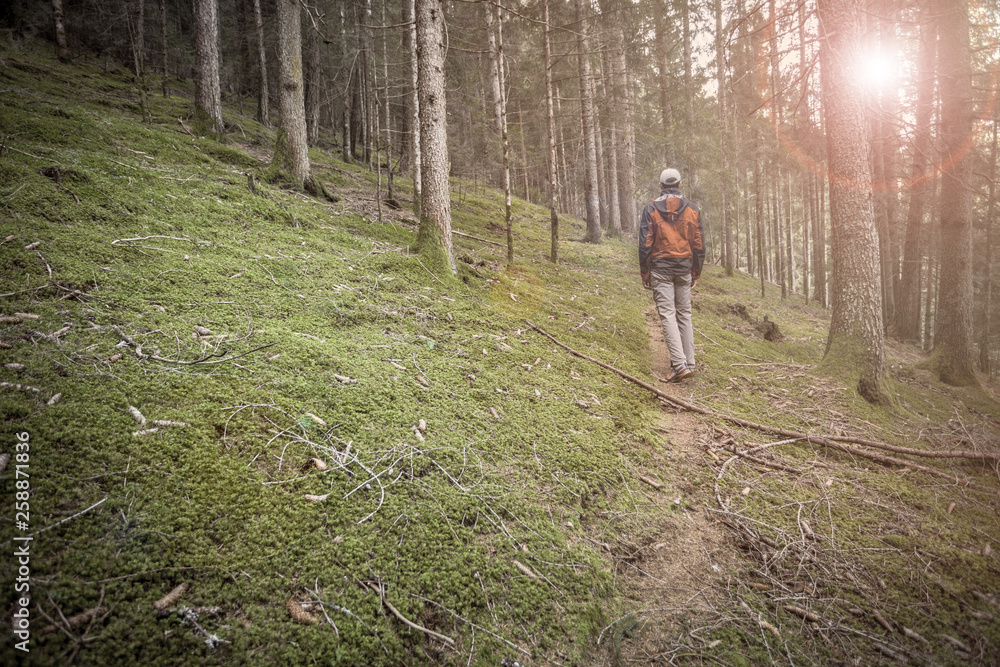 A trekker walking solo among the forest in a cloudy day A trekker walking solo among the forest in a cloudy day
